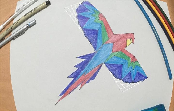 Geometric Parrot Bird Drawing