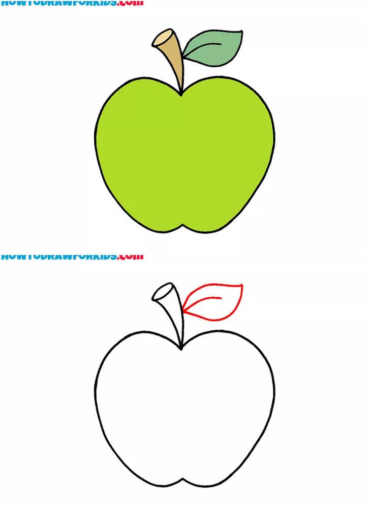 Green Apple Drawing