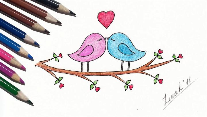 Heart Love Bird Drawing
