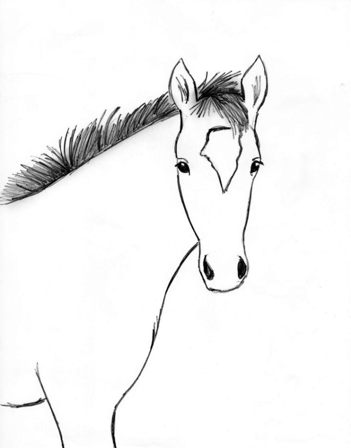 Horse Drawing Step by Step Instruction