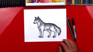 25 Easy Wolf Drawing Ideas - How to Draw a Wolf - Blitsy