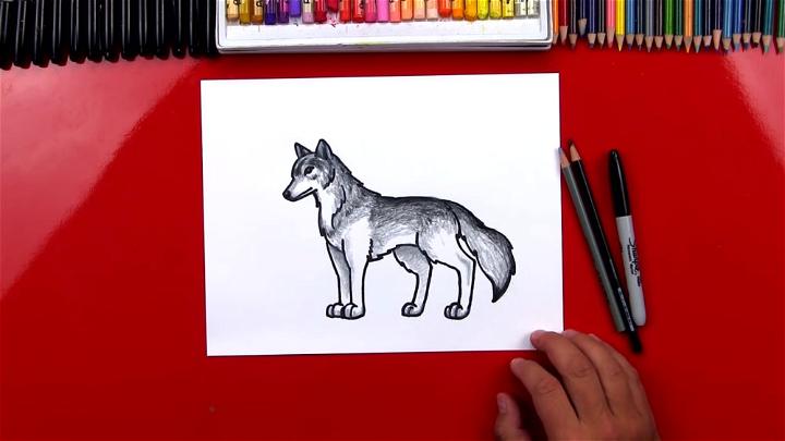 How To Draw A Realistic Wolf