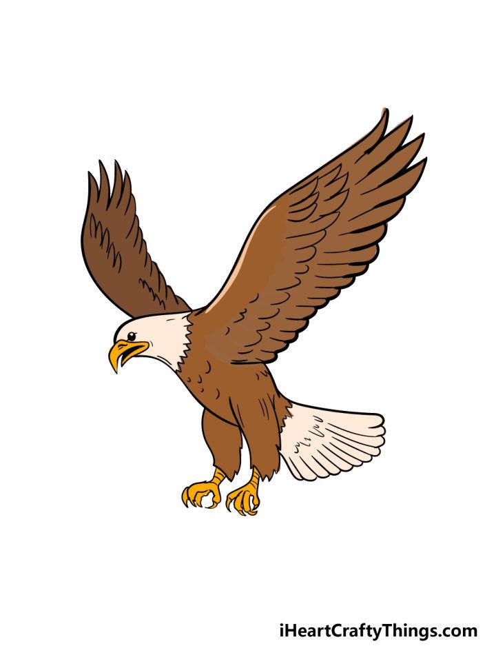 flying eagle colour drawing