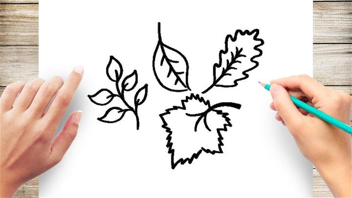 How to Draw Autumn Fall Leaves