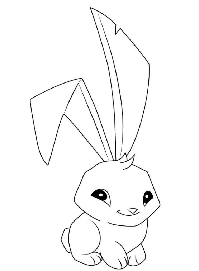 How to Draw Bunny from Animal Jam
