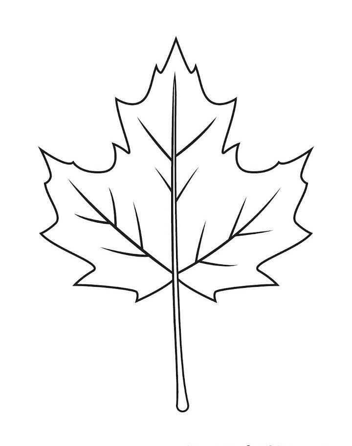 159,708 Simple Leaf Sketch Images, Stock Photos & Vectors | Shutterstock