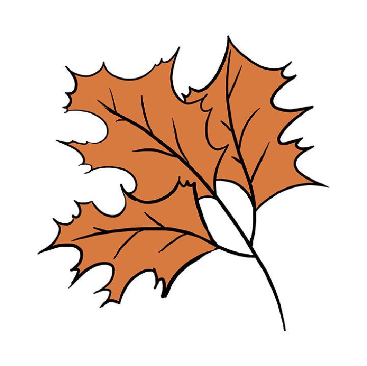 How to Draw Fall Oak Leaves