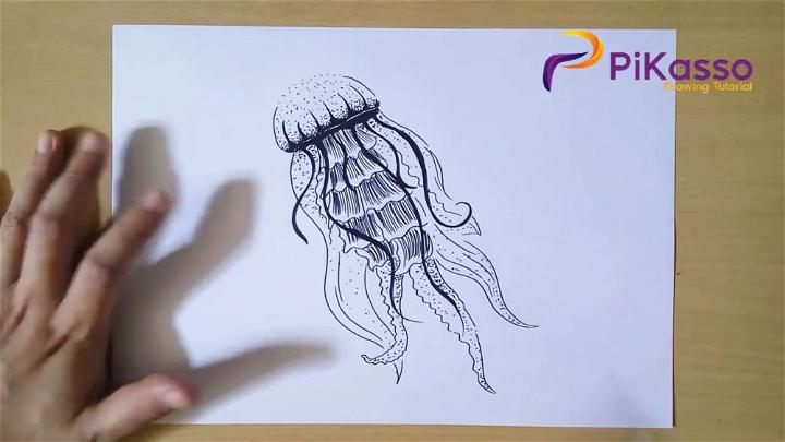 How to Draw Jelly Fish Step by Step