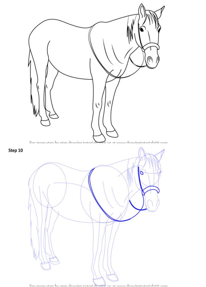 drawings of horses standing