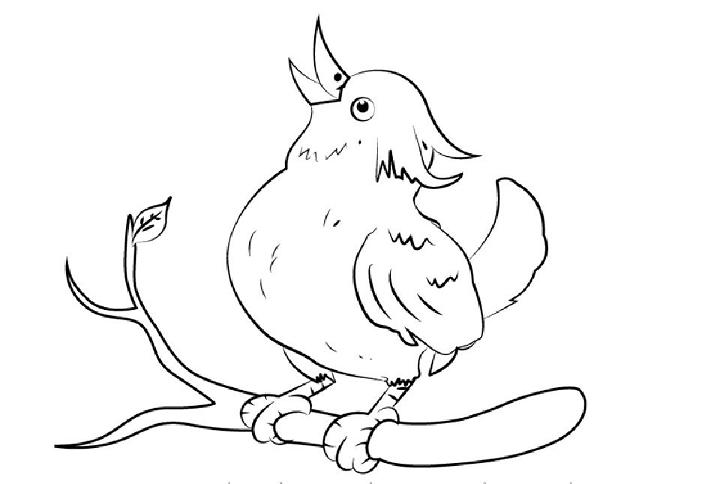 How to Draw a Bird Sitting on a Branch