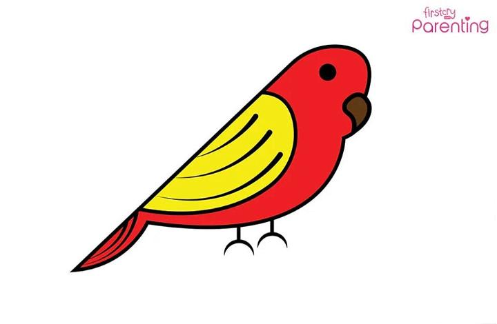 How to Draw a Bird with Colour