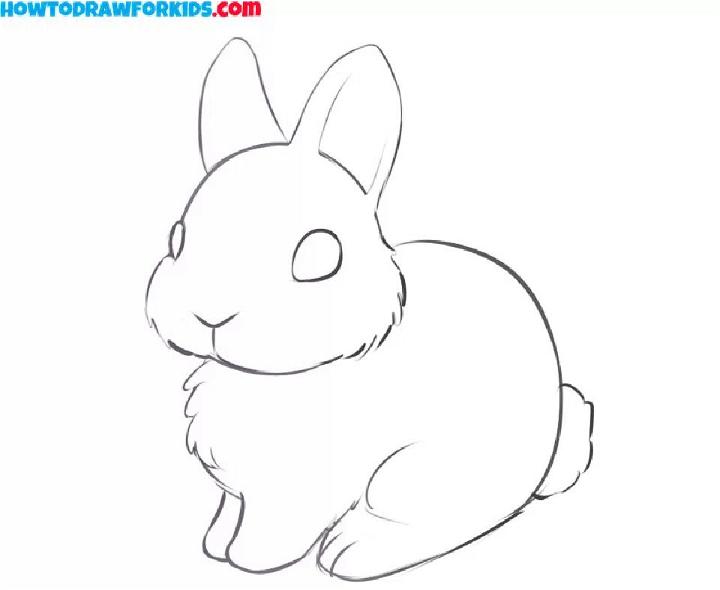 How to Draw a Bunny for Kids