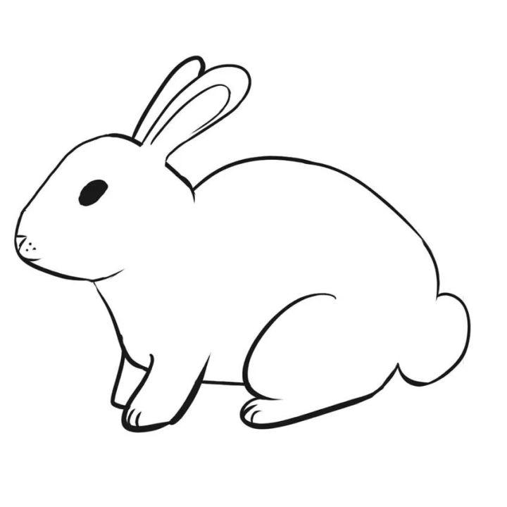 How to Draw a Bunny