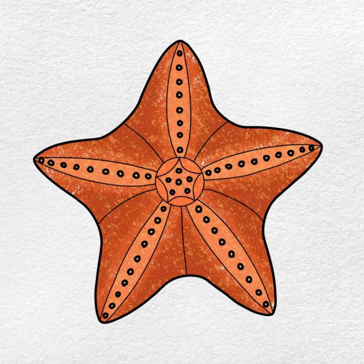How to Draw a Cute Starfish