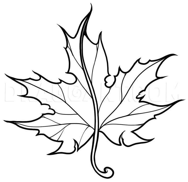 How to Draw a Fall Maple Leaf