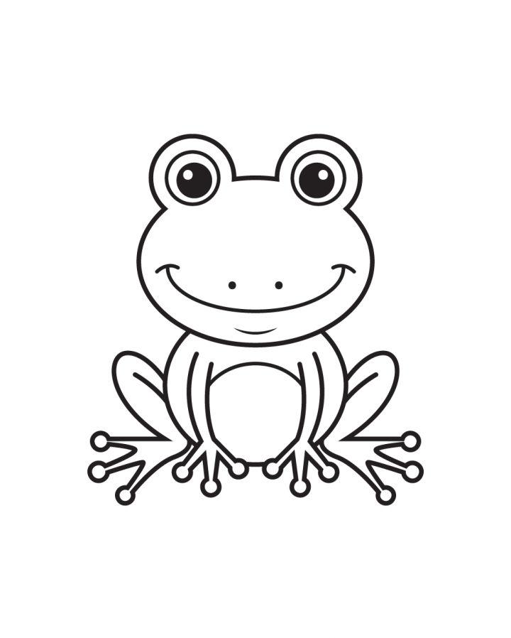 How to Draw a Frog Step by Step Guide