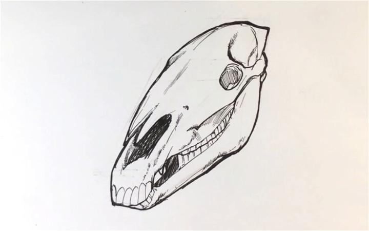 How to Draw a Horse Skull