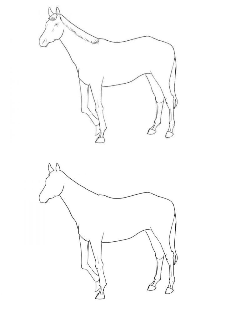 How to Draw a Horse for Beginner