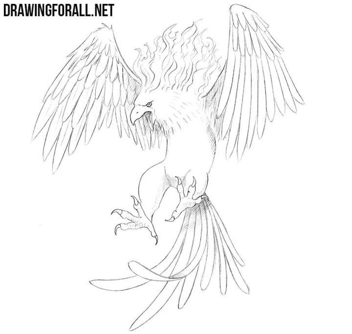 How to Draw a Phoenix Bird