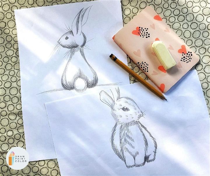 How to Draw a Rabbit