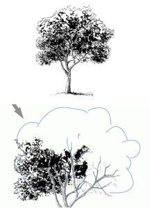 40 Easy Tree Drawing Ideas - How To Draw A Tree - Blitsy