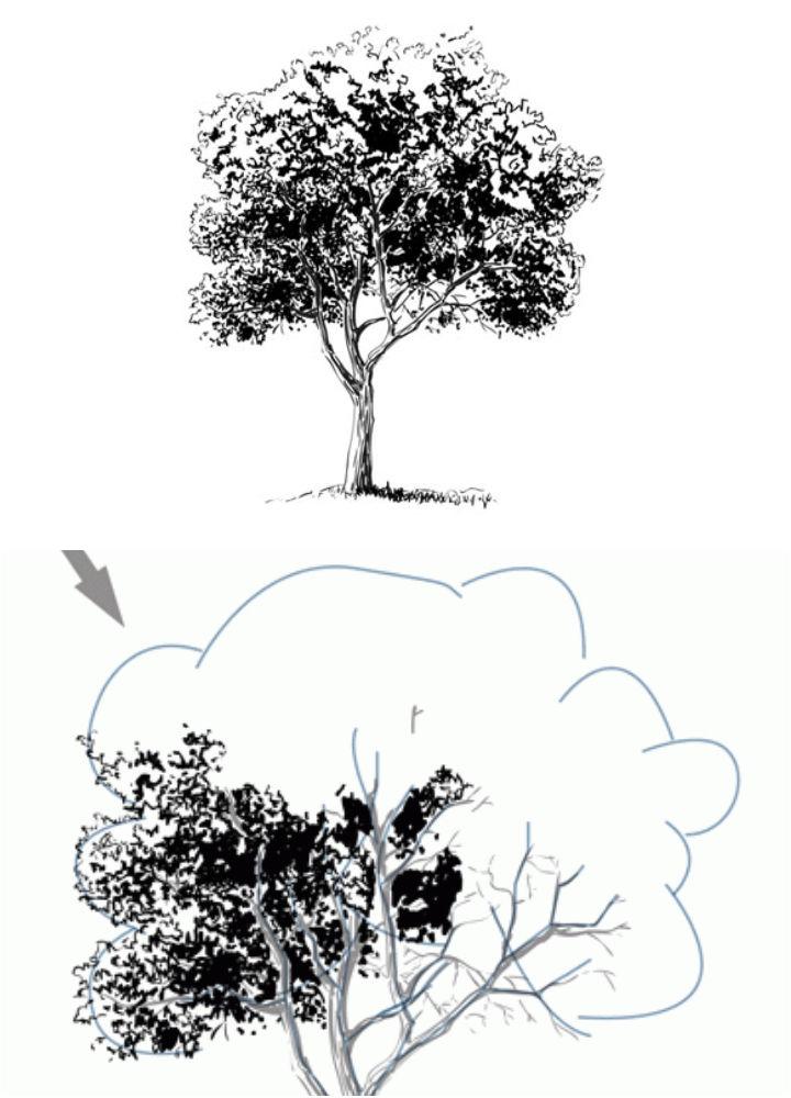 tree drawings images