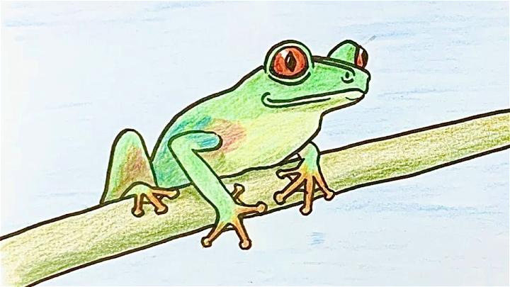 How to Draw a Red Eyed Tree Frog