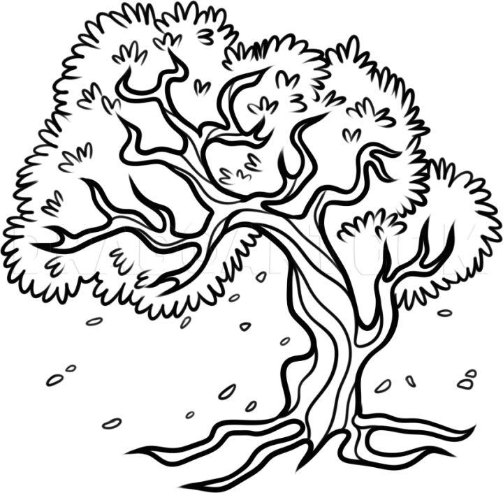 40 Easy Tree Drawing Ideas - How To Draw A Tree - Blitsy