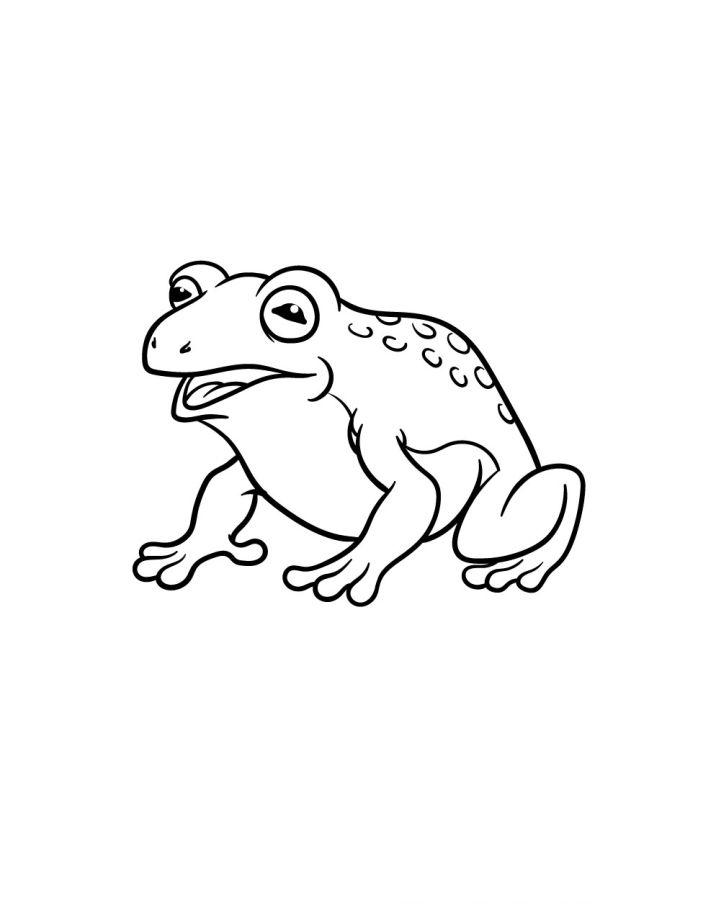 frog drawing easy