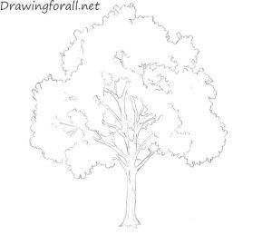 40 Easy Tree Drawing Ideas - How To Draw A Tree - Blitsy