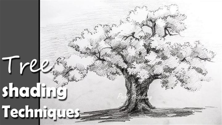 How to Draw a Tree in Pencil