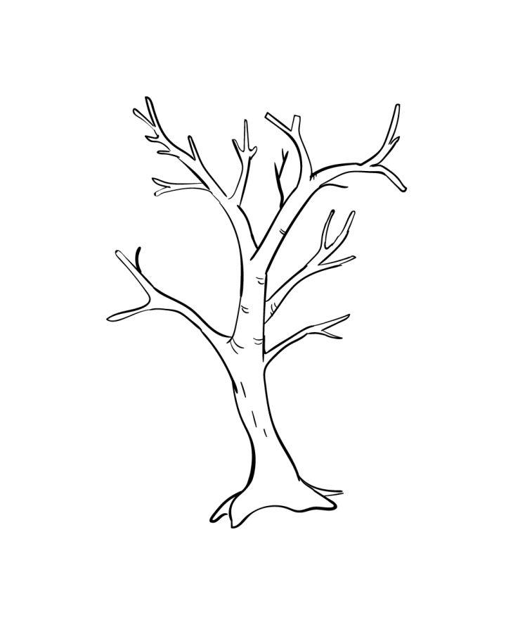How to Draw a Tree with Branches 