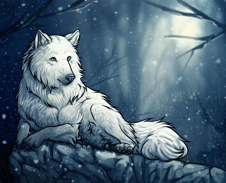 How to Draw a White Wolf