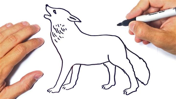 How to Draw a Wolf