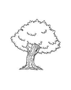 40 Easy Tree Drawing Ideas - How To Draw A Tree - Blitsy