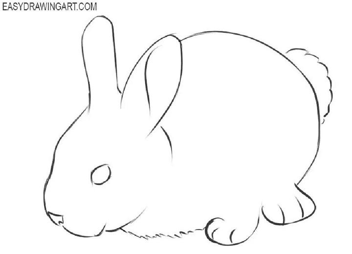 How to Sketch Bunny