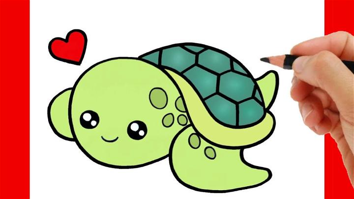 Kawaii Cute Turtle Drawing