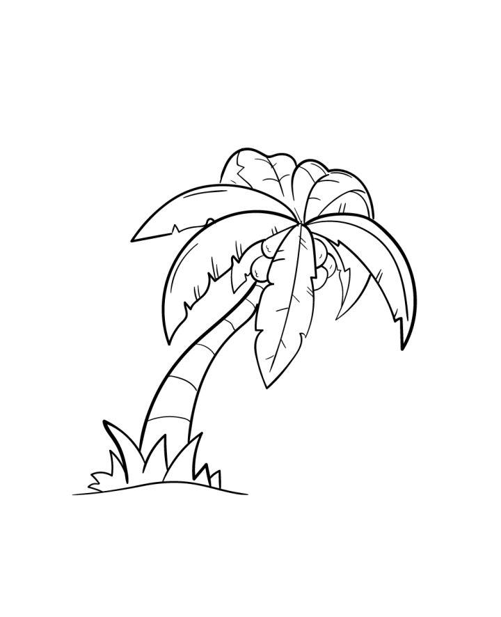 Palm Tree Drawing Step by Step Guide