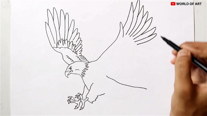 Pencil Drawing Eagle