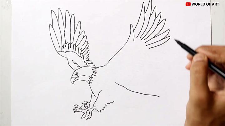 Soaring bald eagle. graphic, black and white drawing sketch of posters for  the wall • posters hawk, tattoo, nature | myloview.com