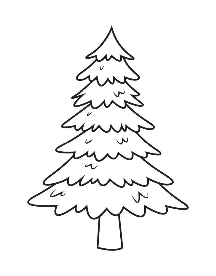 Pine Tree Drawing