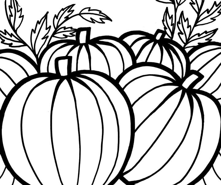 Printable Pumpkin Patch Coloring Pages