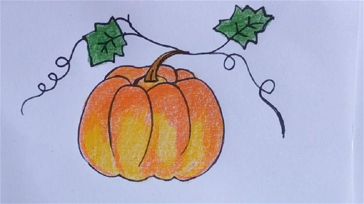 Pumpkin Drawing with Vine