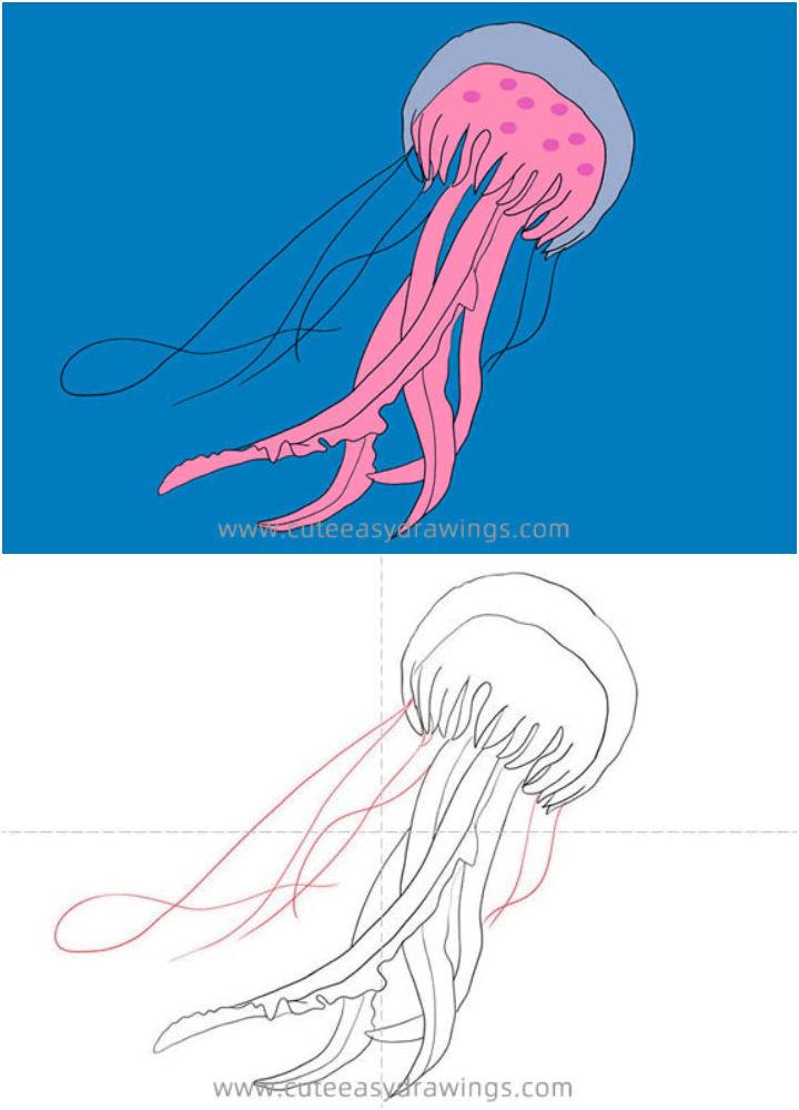 Realistic Jellyfish Drawing