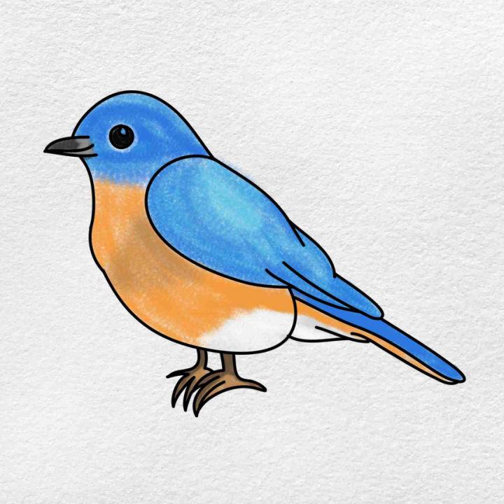 Simple Bluebird Drawing