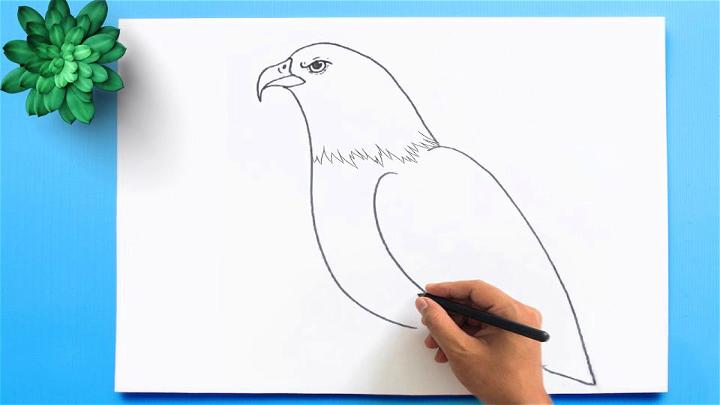Simple Eagle Drawing
