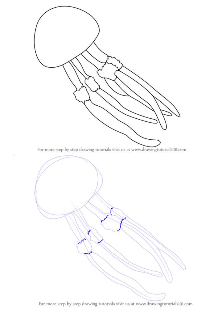 Simple Way to Draw Jellyfish