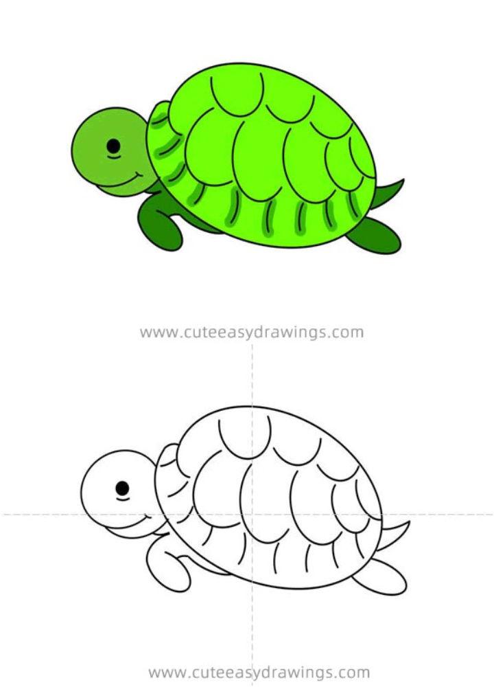 Simple Way to Draw Turtle