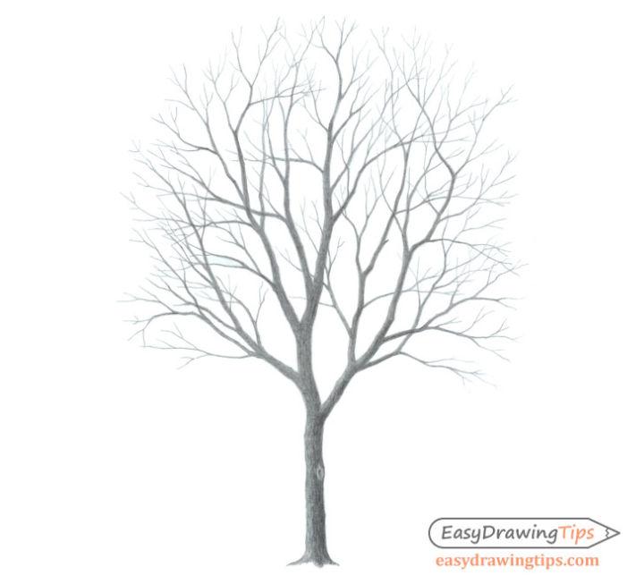 Simple Way to Draw a Tree