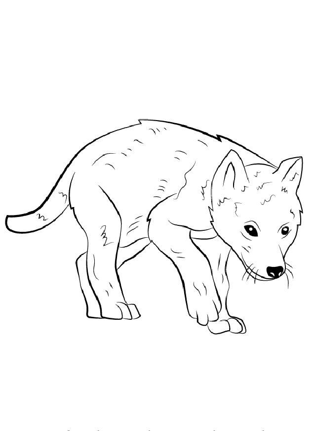 Simple Way to Draw a Wolf Pup